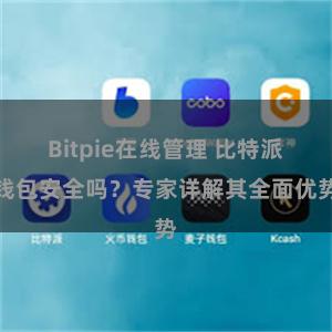 Bitpie在线管理 比特派钱包安全吗？专家详解其全面优势