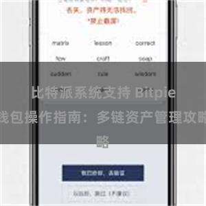 比特派系统支持 Bitpie钱包操作指南：多链资产管理攻略