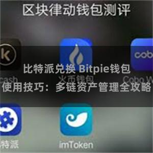 比特派兑换 Bitpie钱包使用技巧：多链资产管理全攻略