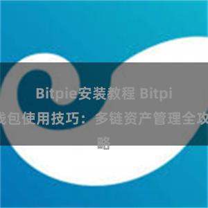 Bitpie安装教程 Bitpie钱包使用技巧：多链资产管理全攻略