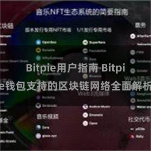 Bitpie用户指南 Bitpie钱包支持的区块链网络全面解析