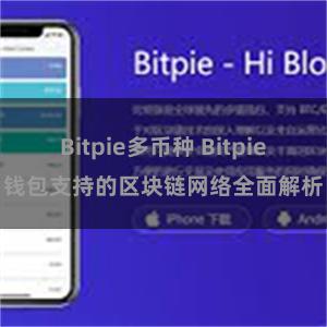 Bitpie多币种 Bitpie钱包支持的区块链网络全面解析