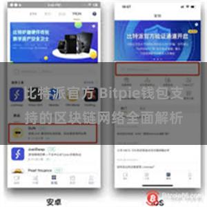 比特派官方 Bitpie钱包支持的区块链网络全面解析