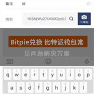Bitpie兑换 比特派钱包常见问题解决方案