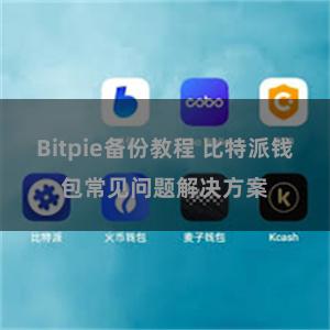 Bitpie备份教程 比特派钱包常见问题解决方案
