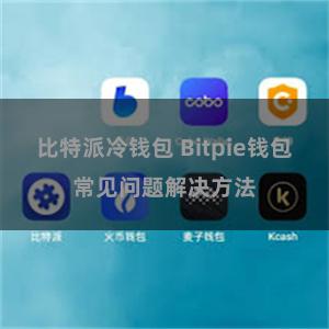 比特派冷钱包 Bitpie钱包常见问题解决方法