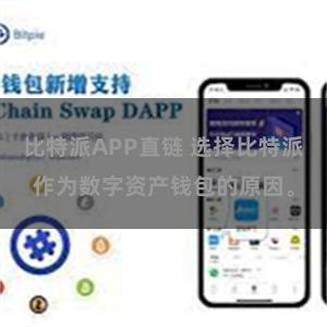 比特派APP直链 选择比特派作为数字资产钱包的原因。