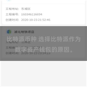 比特派币种 选择比特派作为数字资产钱包的原因。