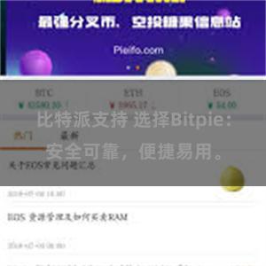 比特派支持 选择Bitpie：安全可靠，便捷易用。
