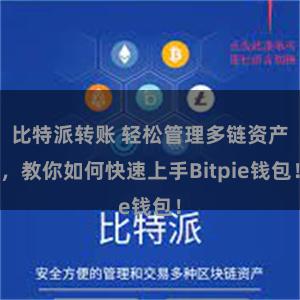 比特派转账 轻松管理多链资产，教你如何快速上手Bitpie钱包！