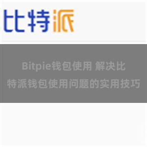 Bitpie钱包使用 解决比特派钱包使用问题的实用技巧