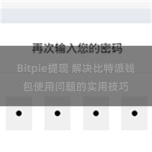 Bitpie提现 解决比特派钱包使用问题的实用技巧