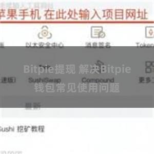 Bitpie提现 解决Bitpie钱包常见使用问题