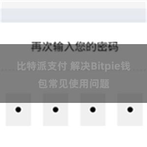 比特派支付 解决Bitpie钱包常见使用问题