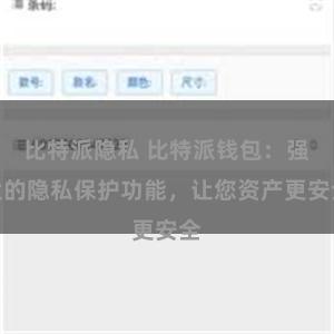 比特派隐私 比特派钱包：强大的隐私保护功能，让您资产更安全