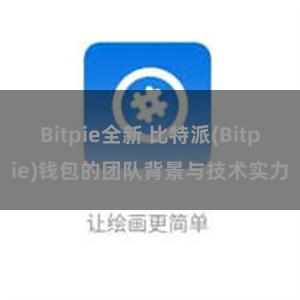 Bitpie全新 比特派(Bitpie)钱包的团队背景与技术实力
