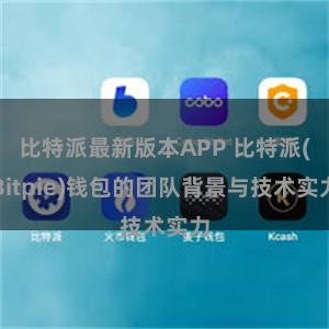 比特派最新版本APP 比特派(Bitpie)钱包的团队背景与技术实力