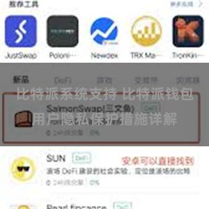 比特派系统支持 比特派钱包用户隐私保护措施详解