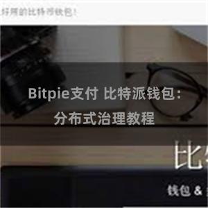 Bitpie支付 比特派钱包：分布式治理教程