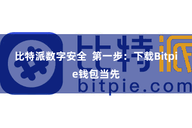 比特派数字安全  第一步：下载Bitpie钱包当先