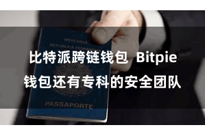 比特派跨链钱包  Bitpie钱包还有专科的安全团队